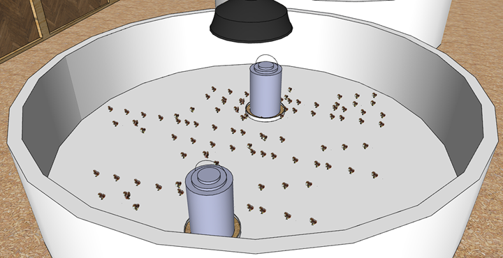 Interior render showing brooder zones and lighting layout